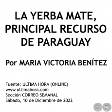 LA YERBA MATE, PRINCIPAL RECURSO DE PARAGUAY - Por MARIA VICTORIA BENÍTEZ MARTÍNEZ - Sábado, 10 de Diciembre de 2022